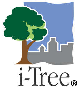 i-Tree logo